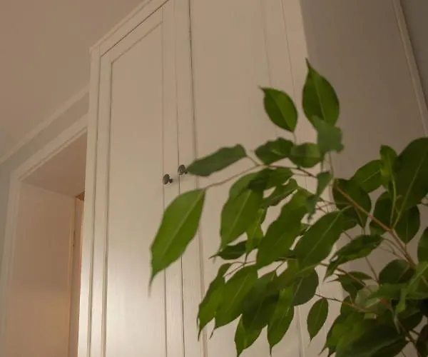 Apartment Familie Rauch